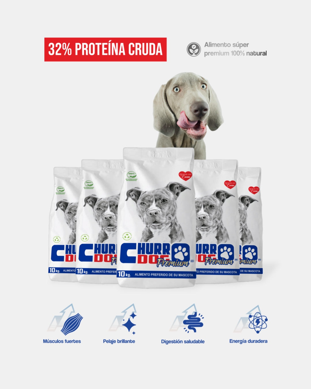 Croquetas Premium Cred